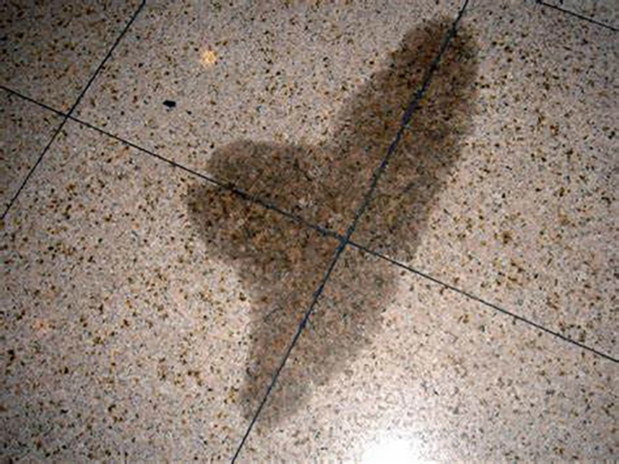 Yellow Granite Flooring with Water Stains Yellow Granite Flooring with Water Stains